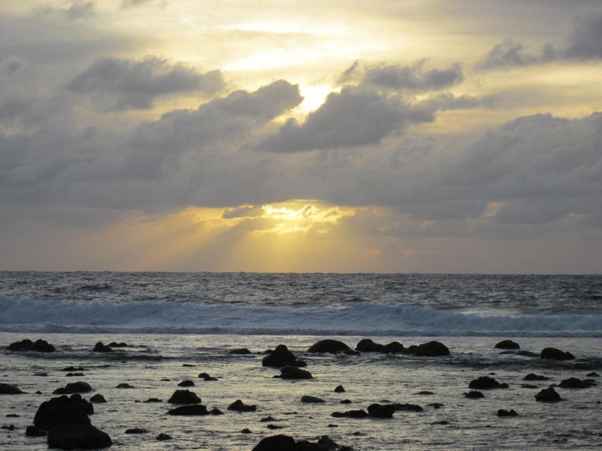 Jo'S Farmstay-Charming Holiday Farm Close To Famous Muri Beach Раратонга Экстерьер фото