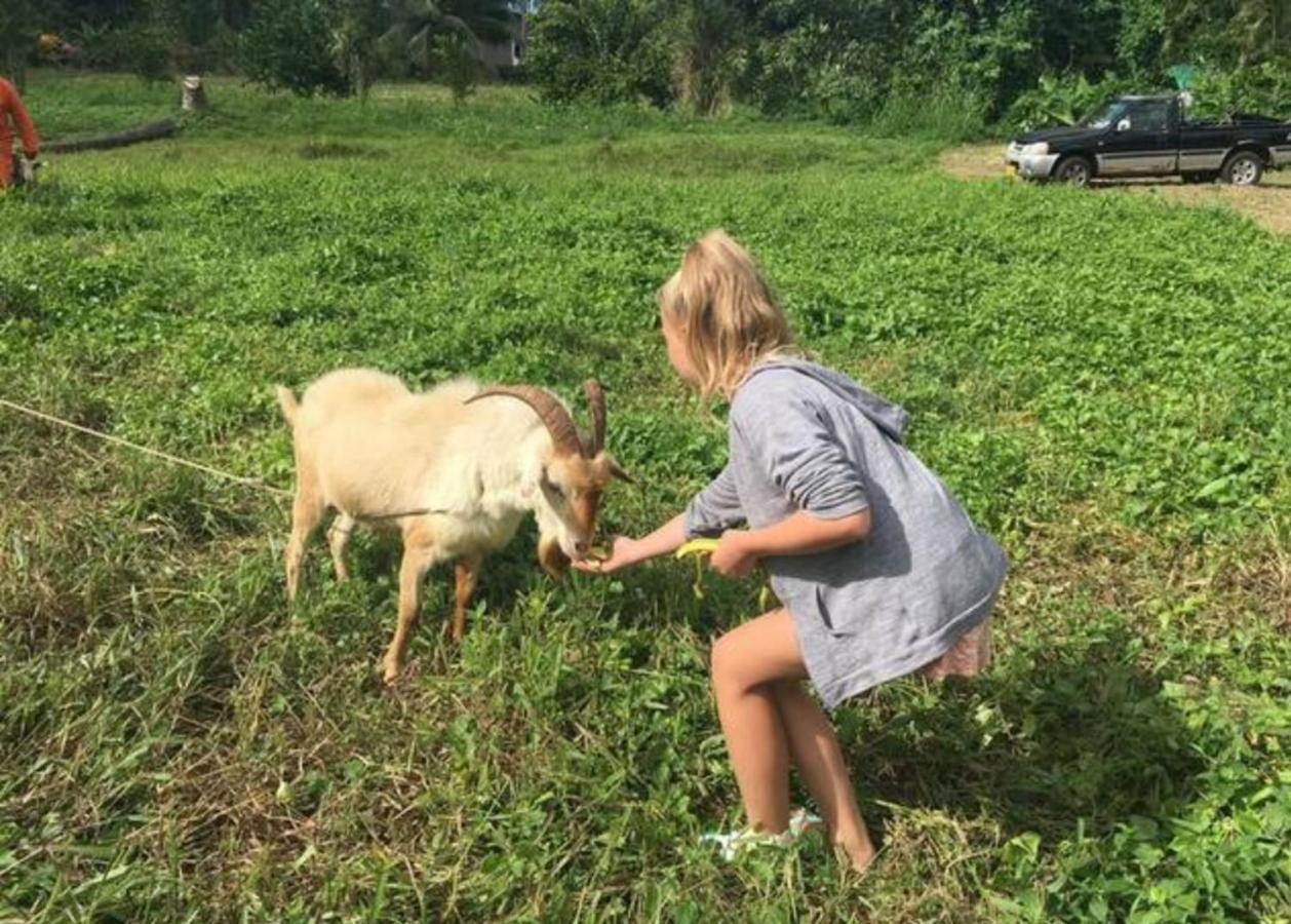 Jo'S Farmstay-Charming Holiday Farm Close To Famous Muri Beach Раратонга Экстерьер фото