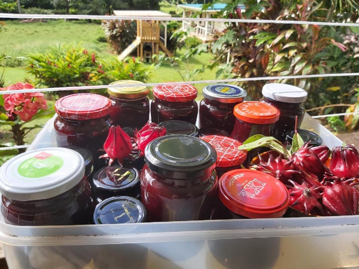 Jo'S Farmstay-Charming Holiday Farm Close To Famous Muri Beach Раратонга Экстерьер фото